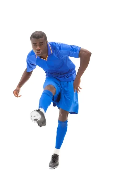 6T体育 APP 界面展示